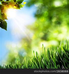 Seasonal natural backgrounds with green grass and beauty bokeh