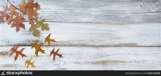 Seasonal oak leaf decorations falling from branch on rustic white wooden boards