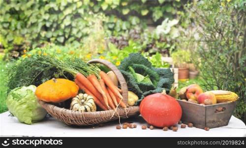 seasonal vegetables in a basket on a table garden