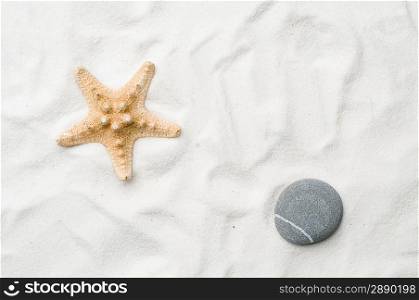 Seastar in sand