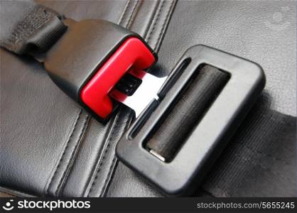 seat belt on a black leather chair