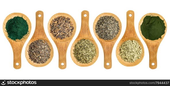 seaweed and algae nutrition supplements (Irish moss, wakame, bladderwrack, wakame, kelp, spirulina,chlorella) - top view of isolated wooden spoons