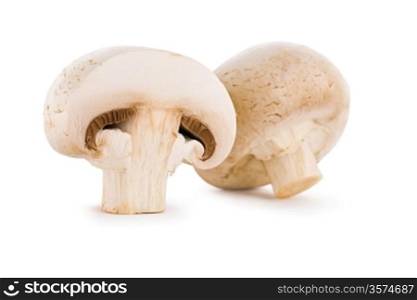 section and fool champignons