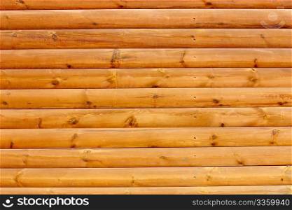 Section of an wooden plank wall