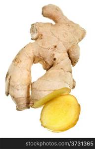 section of fresh ginger root isolated on white background
