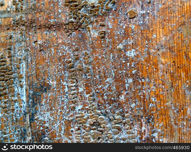 section of old rough distressed wood