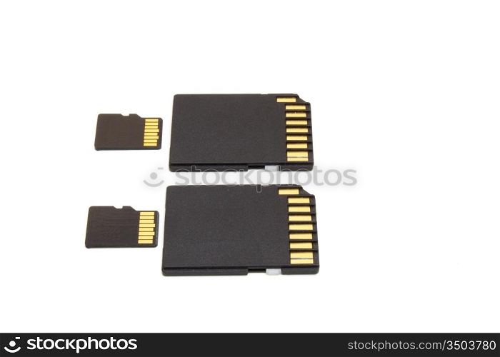 Secure Digital memory cards on white background