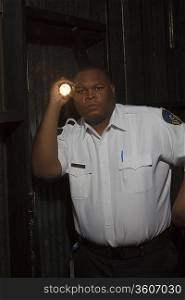 Security guard investigates with torch