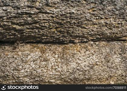 Sediment stone rock surface closeup as natural stone background