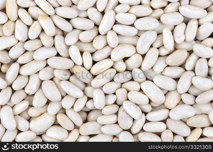 Seed of white beans close up