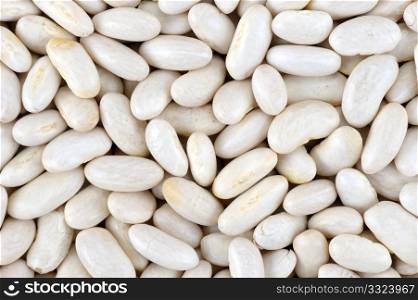 Seed of white beans close up