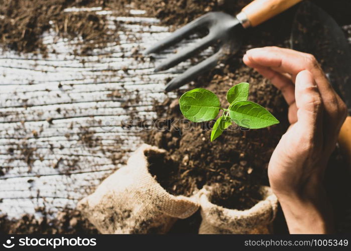 Seedlings and planting equipment.