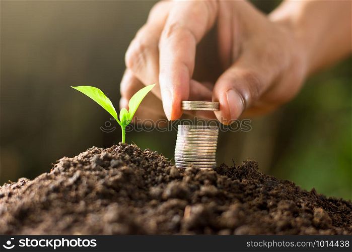 Seedlings are growing from fertile soil, As the men&rsquo;s hands are placing coins near.