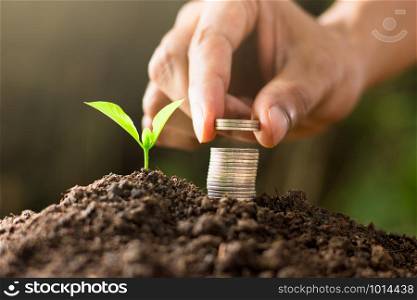 Seedlings are growing from fertile soil, As the men&rsquo;s hands are placing coins near.