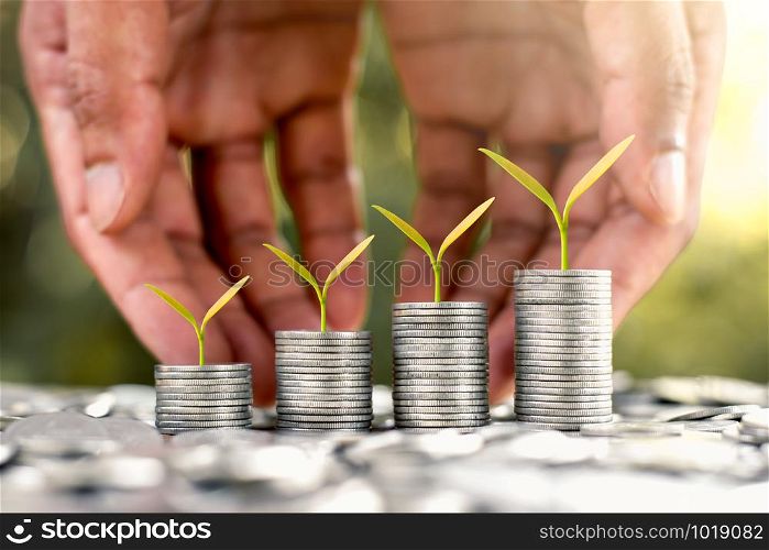 Seedlings are growing from stacked coins. As the men&rsquo;s hands are gently embraced.
