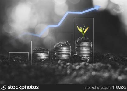 Seedlings are growing on coins that are stacked on the ground, black and white tone.