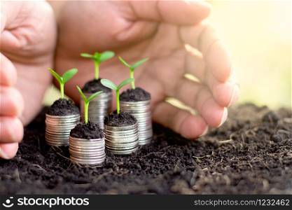 Seedlings are grown on a coin placed on the ground, While a men&rsquo;s hands were surrounded.