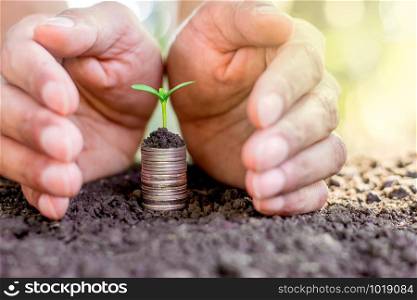 Seedlings are grown on a coin placed on the ground, While the men&rsquo;s hands were surrounded.