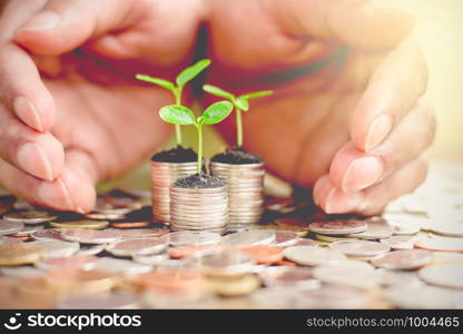 Seedlings are grown on a coin, While a men's hands were surrounded.