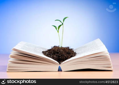 Seedlings growing from book in knowledge concept