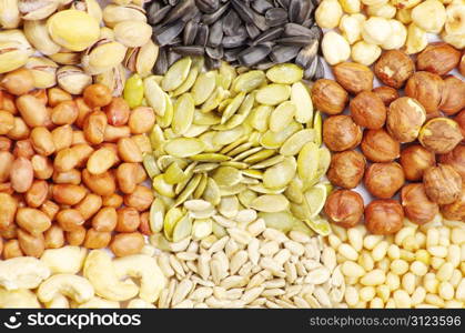 seeds and nuts with collection