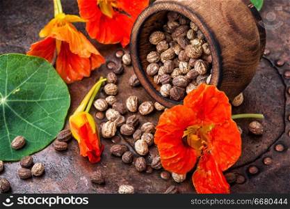 Seeds, leaves and flowers of nasturtium.Spice.Herbal medicine.Healing flowers. Seeds,and flowers of nasturtium