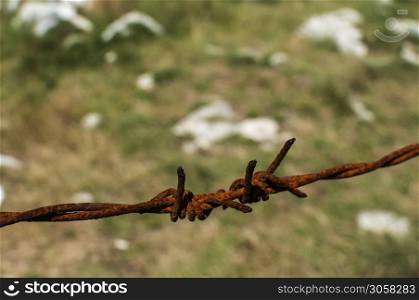 Segment of rusty barbed wire on natural background