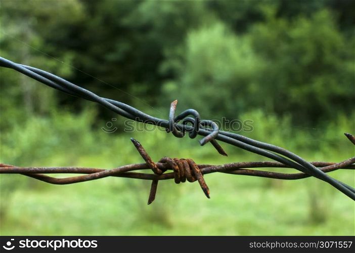 Segment of rusty barbed wire on natural background