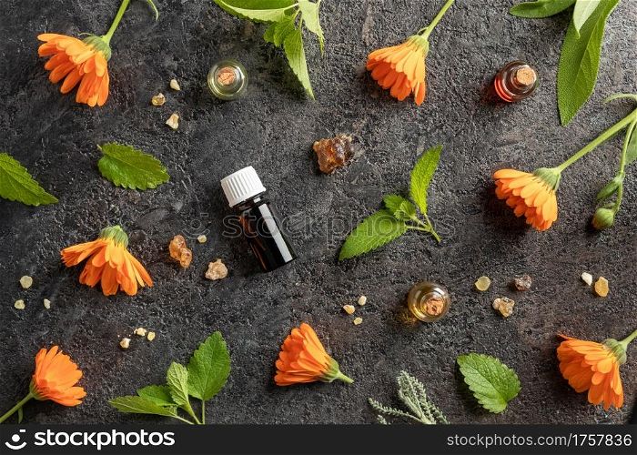 Selection of essential oil with frankincense, calendula flowers and melissa