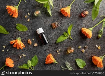 Selection of essential oil with frankincense, calendula flowers and melissa