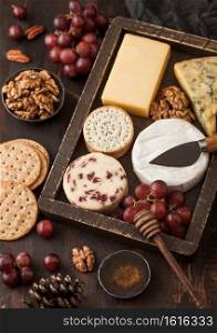 Selection of various cheese in vintage box grapes on wooden background. Blue Stilton, Red Leicester and Brie Cheese and nuts with crackers and honey.