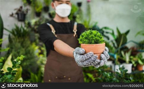 Selective focus, Green houseplants in pot in hand of young gardener man, He wearing face mask, gloves and apron, Hobby or small business with tree or Home gardening
