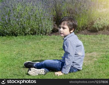 Selective focus little boy with smiling face sitting on grass in lavenders field, Portrait of happy kid playing outdoors with blurry flowers background, Child having fun in lavender garden in the summer.