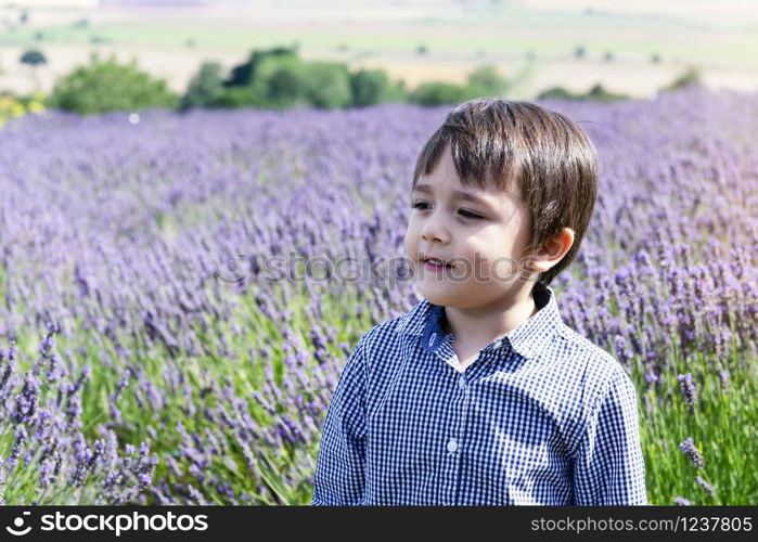 Selective focus little boy with smiling face standing in lavenders field, Portrait of happy kid playing outdoors with blurry flowers background, Child having fun in lavender garden in the summer.