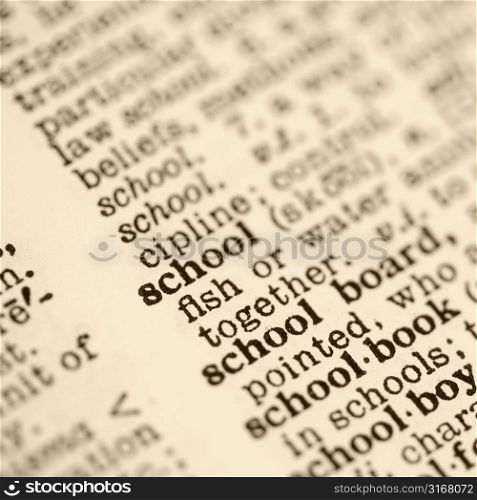 Selective focus of dictionary entry for the word school.