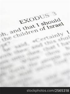 Selective focus of Exodus verses in open Holy Bible.