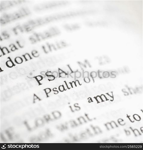 Selective focus of Psalm verses in open Holy Bible.