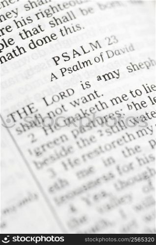 Selective focus of Psalm verses in open Holy Bible.