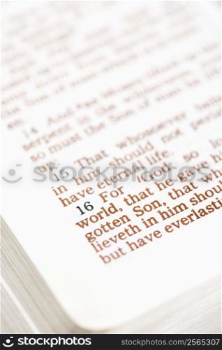 Selective focus of verses in open Holy Bible.
