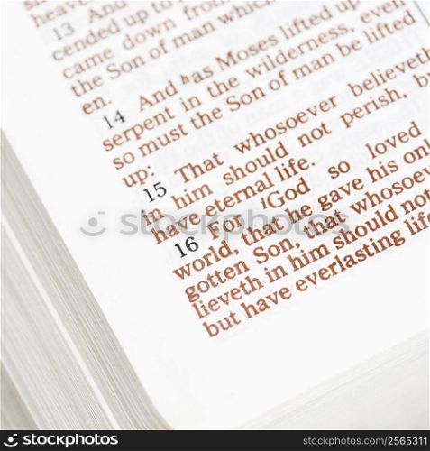 Selective focus of verses in open Holy Bible.