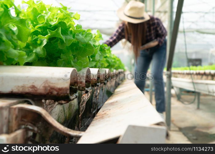 Selective focus of water pipe in Vegetable hydroponic system and farmer is holding a tablet is checking quality green oak lettuce salad. concept of healthy organic food and agriculture technology.