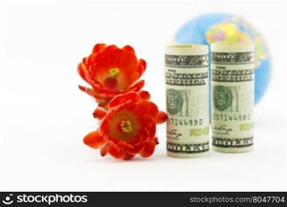 Selective focus on pair of red blossoms and American currency with unfocused globe in background show success with supportive strategies of global investments and worldwide business. Horizontal image with copy space.