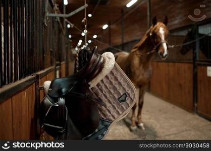Selective focus on saddle in contemporary horse stalls. Beautiful thoroughbred stallion on foreground. Selective focus on saddle in contemporary horse stalls