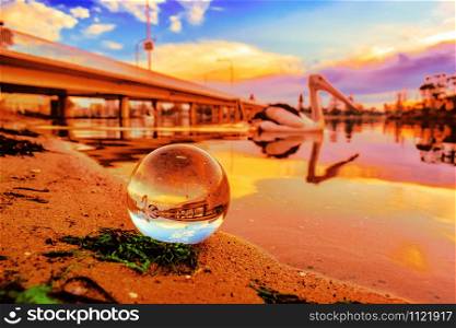 Selective focus shot of a crystal ball reflecting the beautiful scenery of a seabird