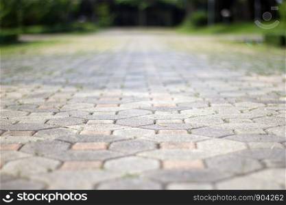 Selective focus,Stone block walk path in the park or garden.