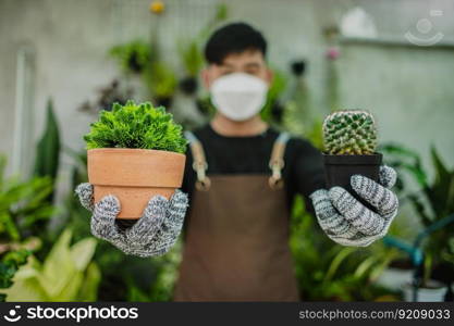 Selective focus, two cactus in hand of young gardener man, He wearing face mask, gloves and apron show , houseplants in pot behind him, small business with tree or  Home gardening 