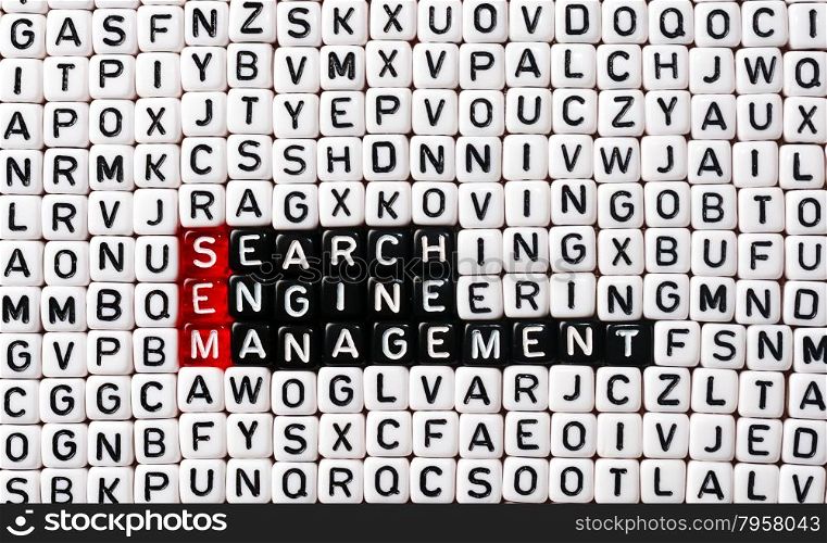 SEM Search Engine Management written on black and white dices