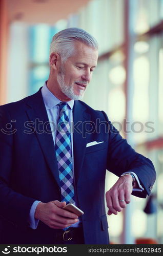 senior business man talk on mobile phone at modern bright office interior