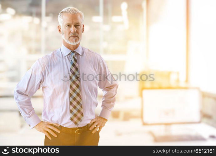 Senior businessman in his office. Portrait of senior businessman in front of his modern office with sun flares