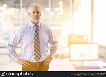 Senior businessman in his office. Portrait of senior businessman in front of his modern office with sun flares